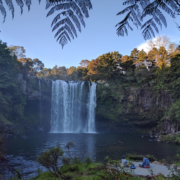 Gifford-Devine-Laywers-Maori-Land-Law