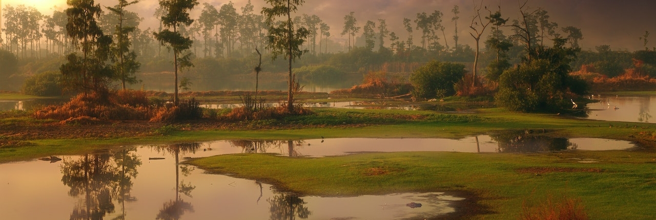 Gifford Devine - Leased land impacted by Cyclones Hale and Gabrielle