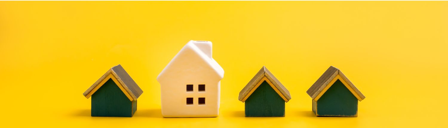 Property_Briefs_Law_New_Zealand
