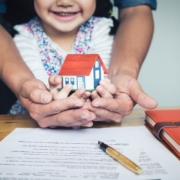 Asset_Protection_Trust_Law_Hawkes_Bay